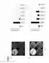 Fig. 03 - ASSAY METHODS FOR THE DETERMINATION OF FKBPL EXPRESSION LEVEL IN THE CONTEXT OF BREAST CANCER