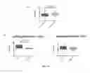 Fig. 15 - Methods for predicting and improving the survival of colorectal cancer patients