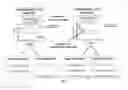 Fig. 17 - Methods for predicting and improving the survival of colorectal cancer patients