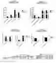 Fig. 07 - Method for the diagnosis and prognosis of cancer