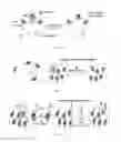 Fig. 15 - Methods and compositions relating to super-resolution imaging and modification