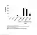Fig. 03 - METHODS FOR IDENTIFYING AUTOIMMUNE ARTHRITIS AND FOR SCREENING FOR INHIBITOR OF ACTIVATION OF AUTOIMMUNE ARTHRITOGENIC T CELLS