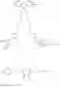 Fig. 24 - Water soluble polyfluorene functionalized with glucuronic acid useful in bilirubin sensing
