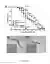 Fig. 04 - Modulating bacterial MAM polypeptides in pathogenic disease