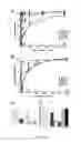 Fig. 05 - Modulating bacterial MAM polypeptides in pathogenic disease