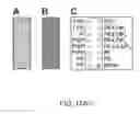 Fig. 16 - Modulating bacterial MAM polypeptides in pathogenic disease