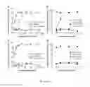 Fig. 19 - Modulating bacterial MAM polypeptides in pathogenic disease