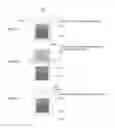 Fig. 31 - SYSTEMS AND METHODS FOR MULTI-ANALYSIS