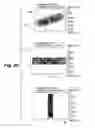 Fig. 13 - Magnetic field current sensors