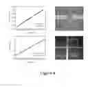 Fig. 06 - Electronic devices