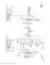 Fig. 02 - Multicode transmitter