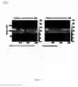 Fig. 09 - Radar detection of endo-clutter high-value targets using tracker feedback