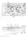 Fig. 02 - Lofting algorithm for discrete network meshing