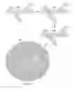 Fig. 07 - Lofting algorithm for discrete network meshing