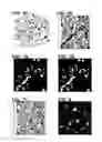 Fig. 04 - Conditioning of expanded porosity