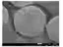Fig. 01 - Photonic crystal microsphere
