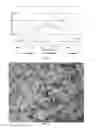 Fig. 02 - Photonic crystal microsphere