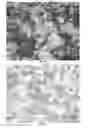 Fig. 03 - Photonic crystal microsphere