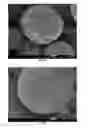 Fig. 06 - Photonic crystal microsphere
