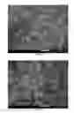 Fig. 07 - Photonic crystal microsphere
