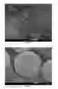 Fig. 08 - Photonic crystal microsphere
