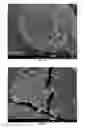 Fig. 09 - Photonic crystal microsphere