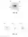 Fig. 16 - Phase gratings with odd symmetry for optical sensing