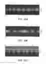 Fig. 13 - OPTICAL FILTER