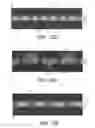 Fig. 14 - OPTICAL FILTER