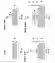 Fig. 06 - Integrated photonics mode expander