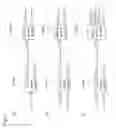 Fig. 10 - Optical circuit