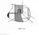 Fig. 08 - Connector housing and connector