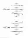 Fig. 25 - Zoom lens, optical apparatus, and method for manufacturing the zoom lens