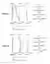Fig. 38 - Zoom lens, optical apparatus, and method for manufacturing the zoom lens