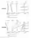 Fig. 40 - Zoom lens, optical apparatus, and method for manufacturing the zoom lens