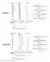Fig. 42 - Zoom lens, optical apparatus, and method for manufacturing the zoom lens