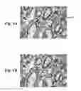 Fig. 05 - Calibration of microscopy systems