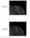 Fig. 09 - Calibration of microscopy systems