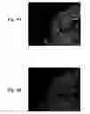 Fig. 10 - Calibration of microscopy systems
