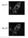 Fig. 11 - Calibration of microscopy systems