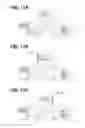 Fig. 11 - Head-up display apparatus