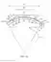 Fig. 08 - Conformable therapeutic shield for vision and pain
