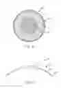 Fig. 18 - Conformable therapeutic shield for vision and pain