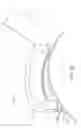 Fig. 37 - Conformable therapeutic shield for vision and pain