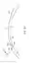 Fig. 52 - Conformable therapeutic shield for vision and pain