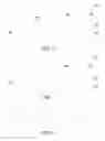 Fig. 04 - Curved liquid crystal display panel and manufacturing method thereof