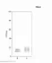 Fig. 07 - Curved liquid crystal display