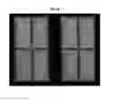 Fig. 15 - Curved liquid crystal display