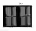 Fig. 19 - Curved liquid crystal display