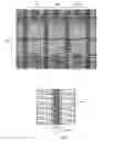 Fig. 01 - Liquid crystal display device